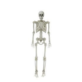 5ft White Poseable Skeleton Decoration, Halloween Outdoor Decor